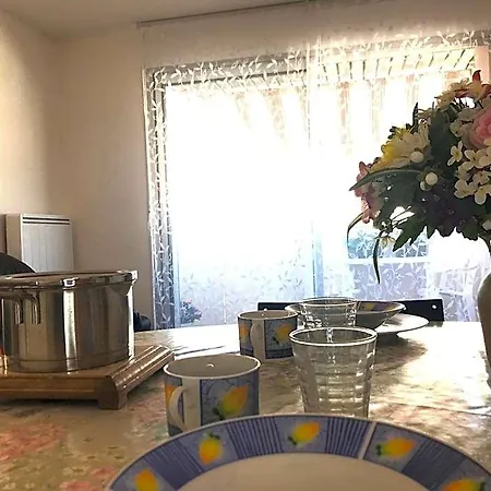 شقة Le Casino Des Fleurs - Hypercentre - Parking - Balcon فيشي