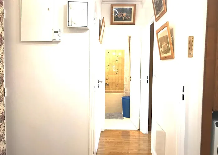 Apartment Le Casino Des Fleurs - Hypercentre - Parking - Balcon Vichy